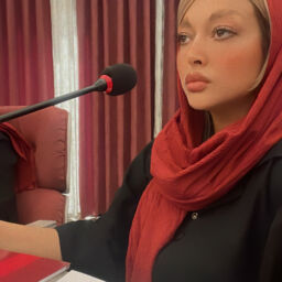منا حافظی